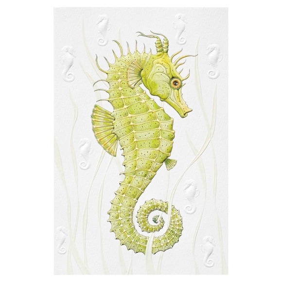 Pumpernickel Press Seahorse Happy Birthday Card - Picture 1 of 1